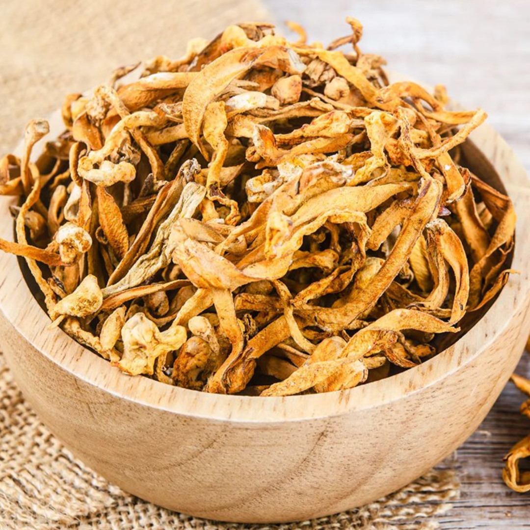 Cordyceps